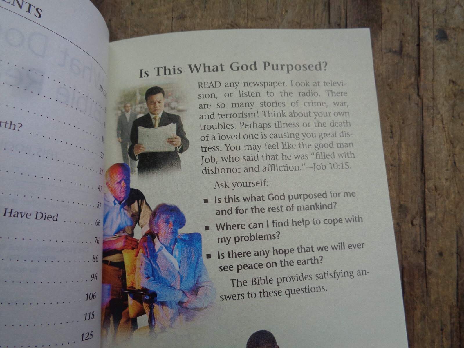 «WHAT DOES THE BIBLE REALLY TEACH?». 2016. 223 pages. Paperback. Watchtower
