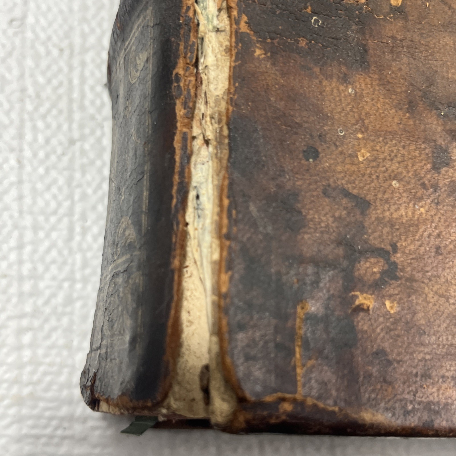 Pierre Bayle Dictionnaire Historique Critique Tome V 1734 Antique Leather Book