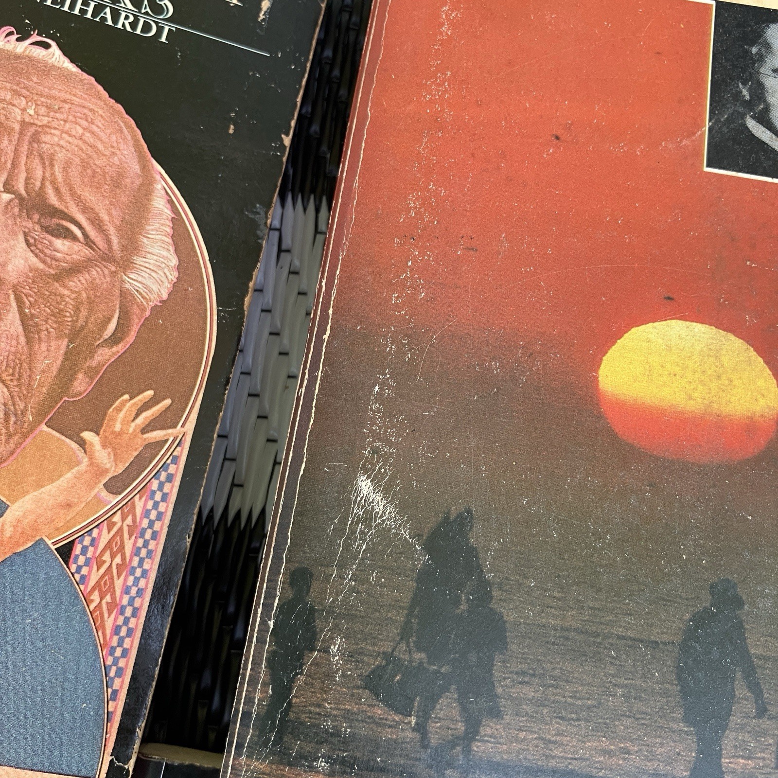 Vintage Sociology Philosophy Book Lot Carl Jung Tom Wolfe Carl Sagan Black Elk