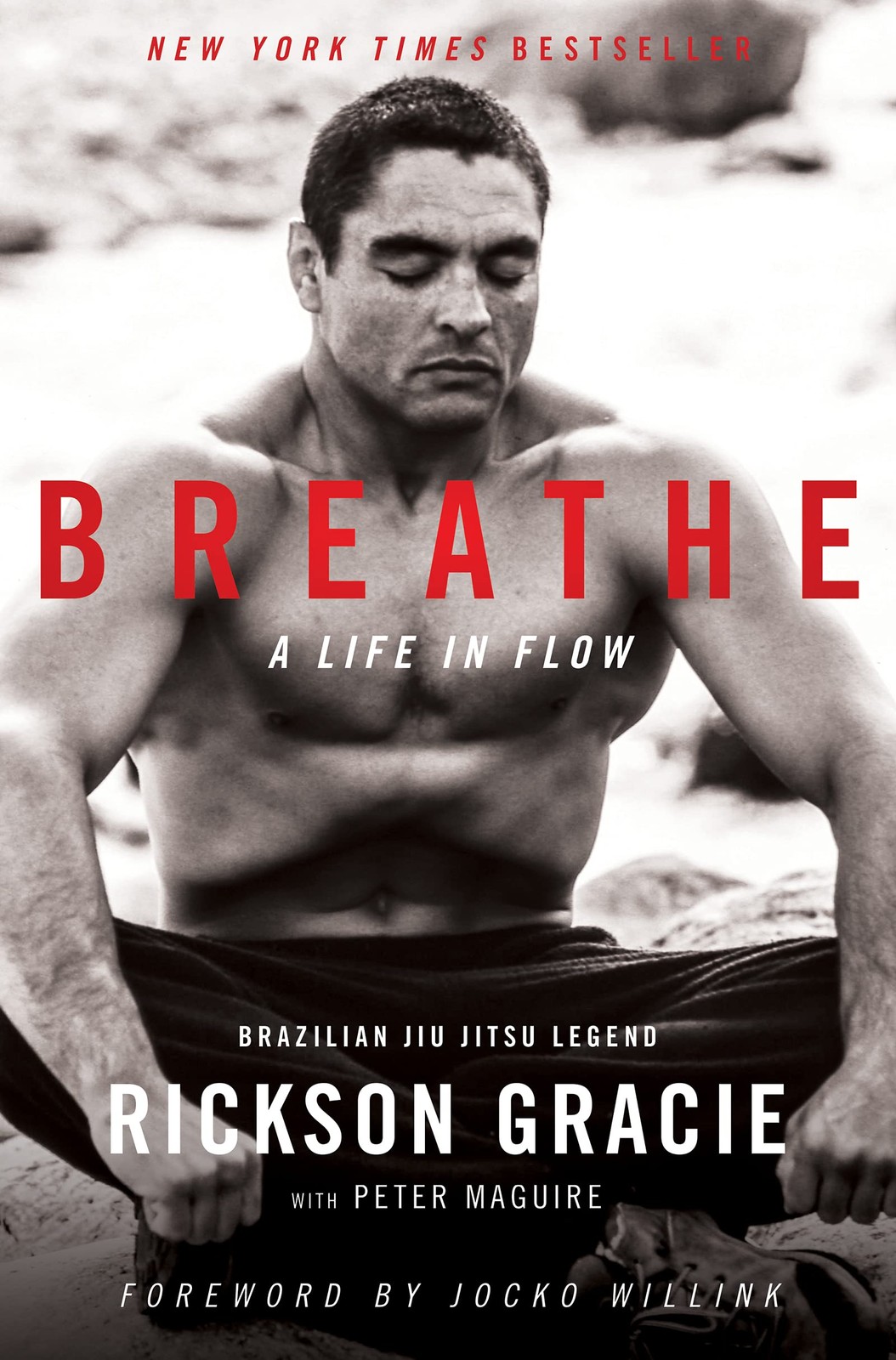 Breathe: A Life in Flow – A New York Times Bestselling Memoir of Martial A…