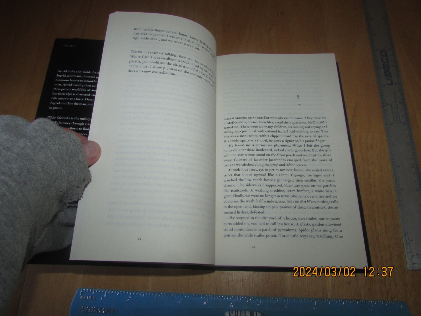 White Oleander by Janet Fitch (1999, Hardcover)