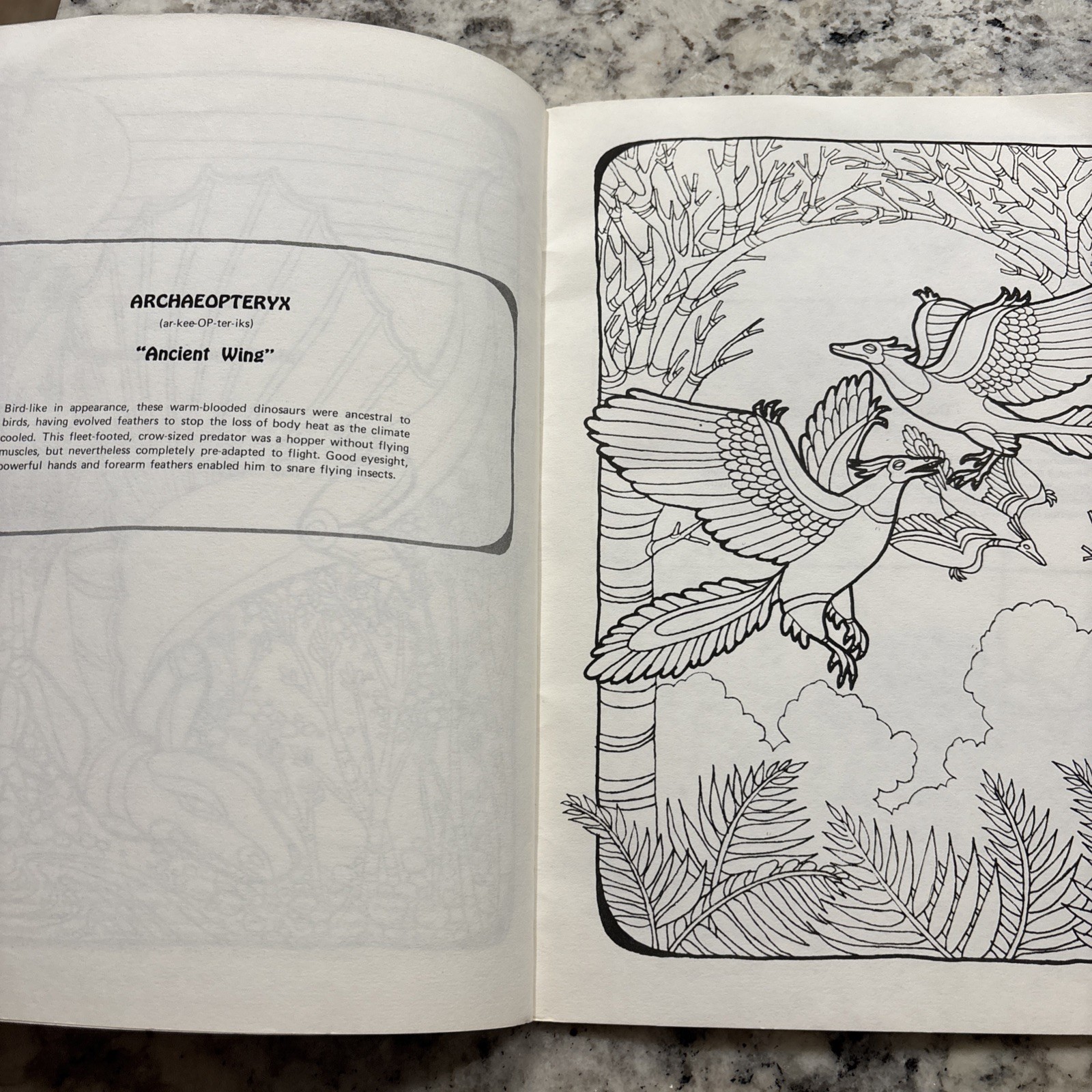 Dinosaur Coloring Book Troubador Press 1970 Retro Unused Oversized