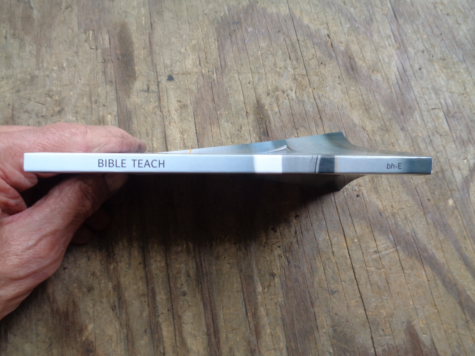«WHAT DOES THE BIBLE REALLY TEACH?». 2016. 223 pages. Paperback. Watchtower