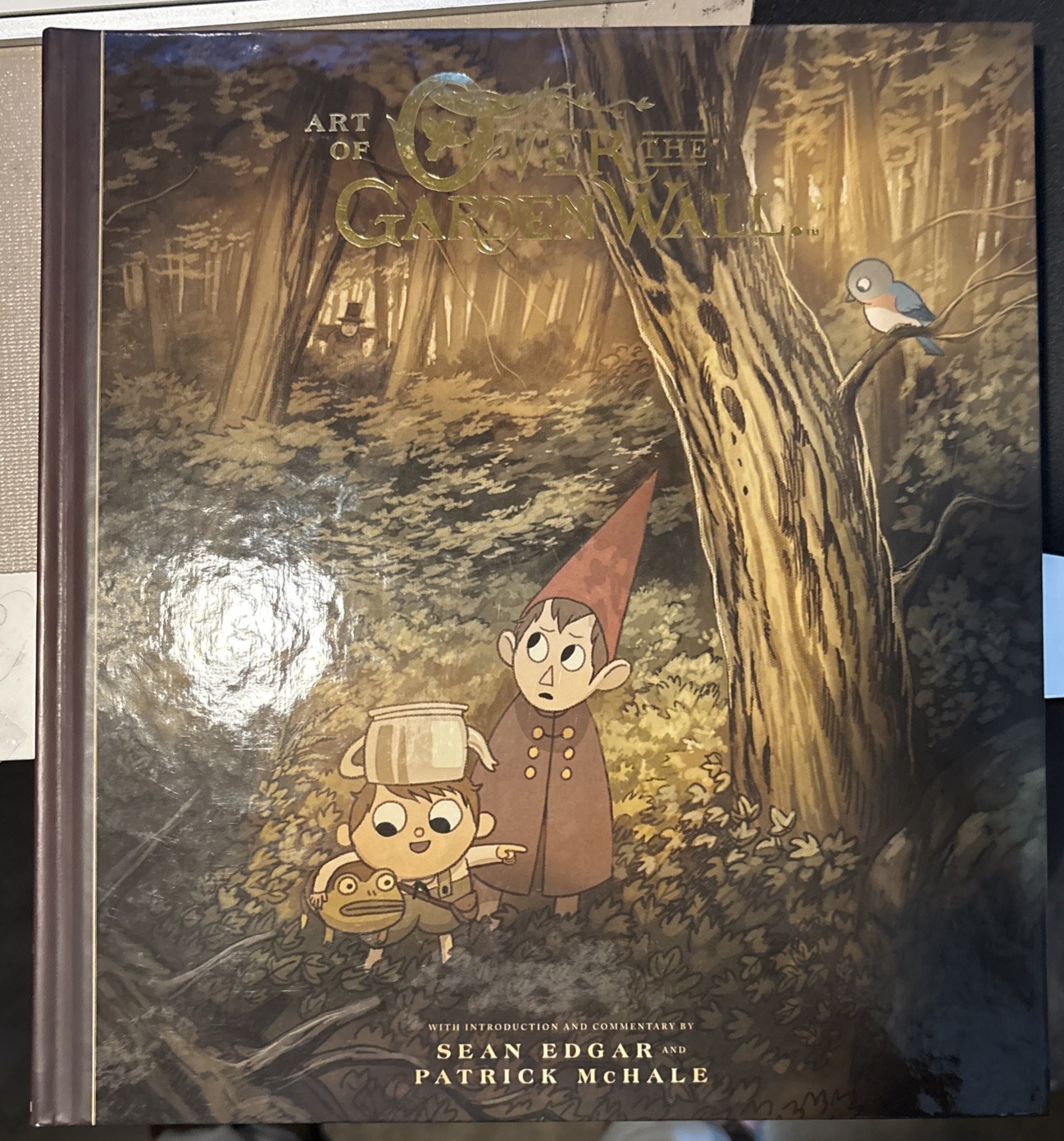 The Art Of Over The Garden Wall Book