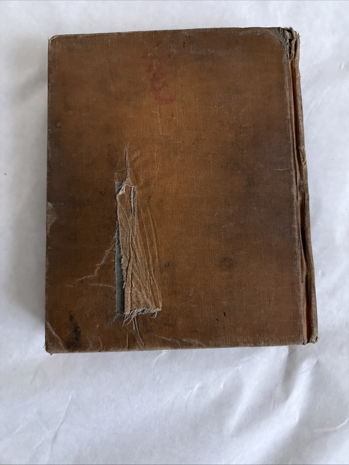 Vintage 1919 New Geographies First Book Part One Tarr & McMurry Hardcover