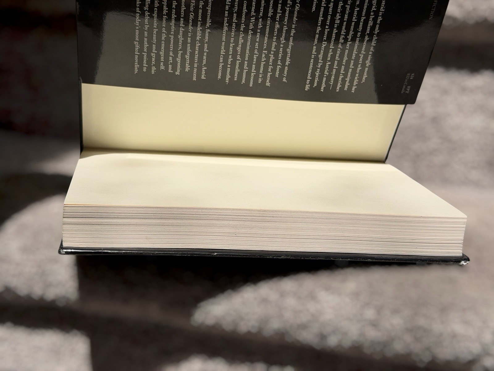 First Edition White Oleander Janet Fitch Hardcover 1999 Oprah Book Club Novel