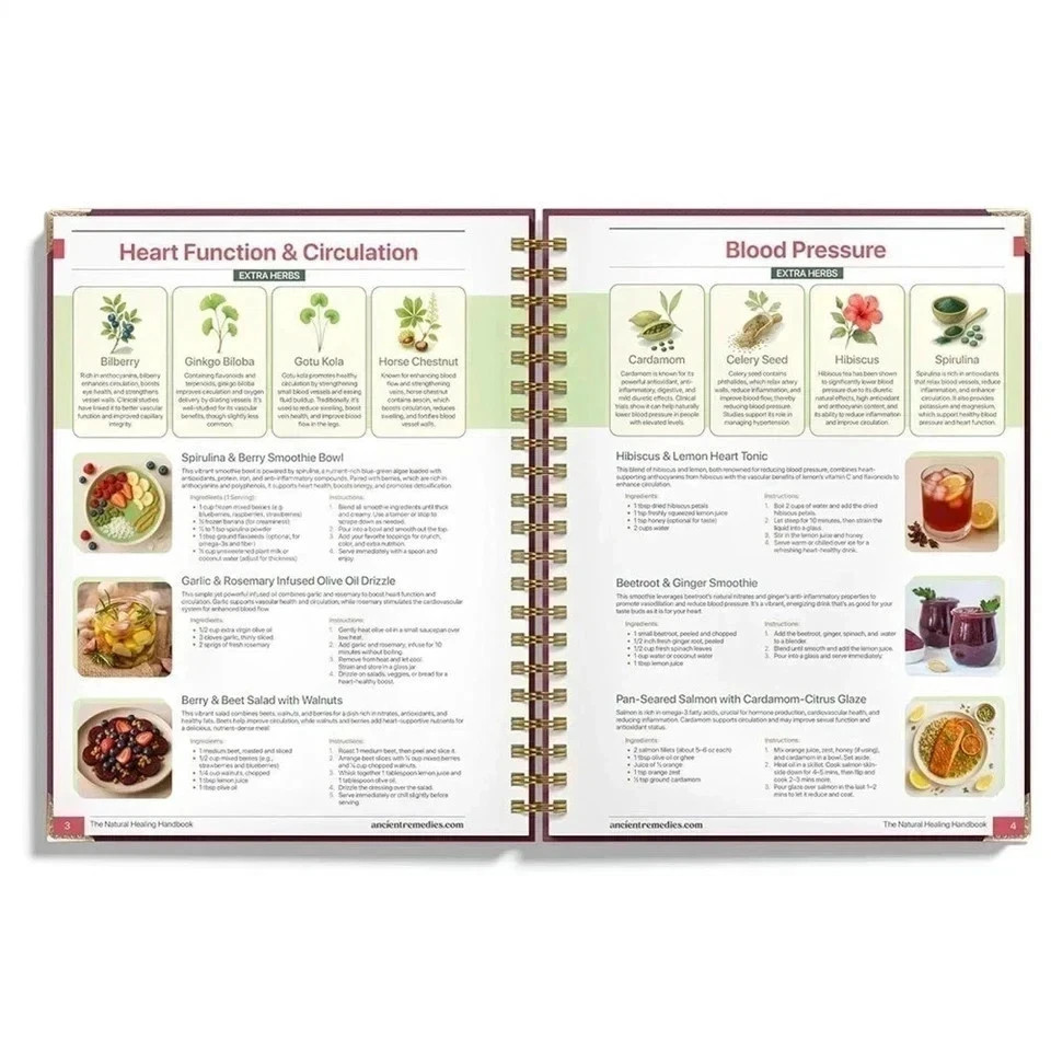 The Natural Healing Handbook Spiral Bound Guide For Herbal Remedies And Natural