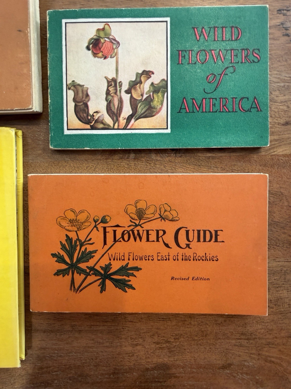 1920s 1930s Vintage Wildflower Bird And Tree Books. Collectible Nature Guides.