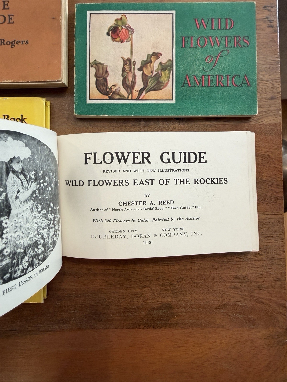 1920s 1930s Vintage Wildflower Bird And Tree Books. Collectible Nature Guides.