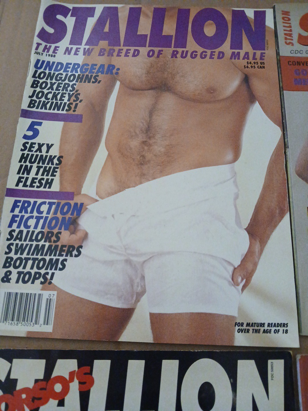 Torso – Torso’s Stallion Lot Of 4 Vintage Gay Magazines Men’s Interest 80’s Rare