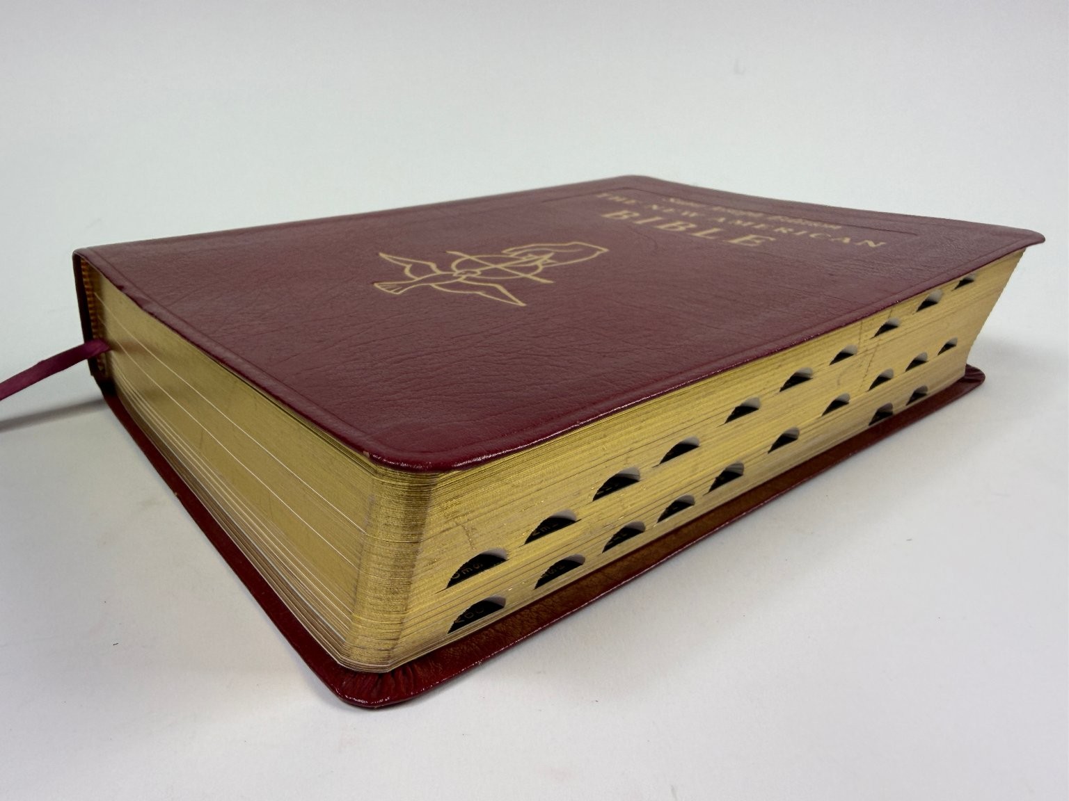The New American Bible Saint Joseph Edition 1992 Large Type Illustrated