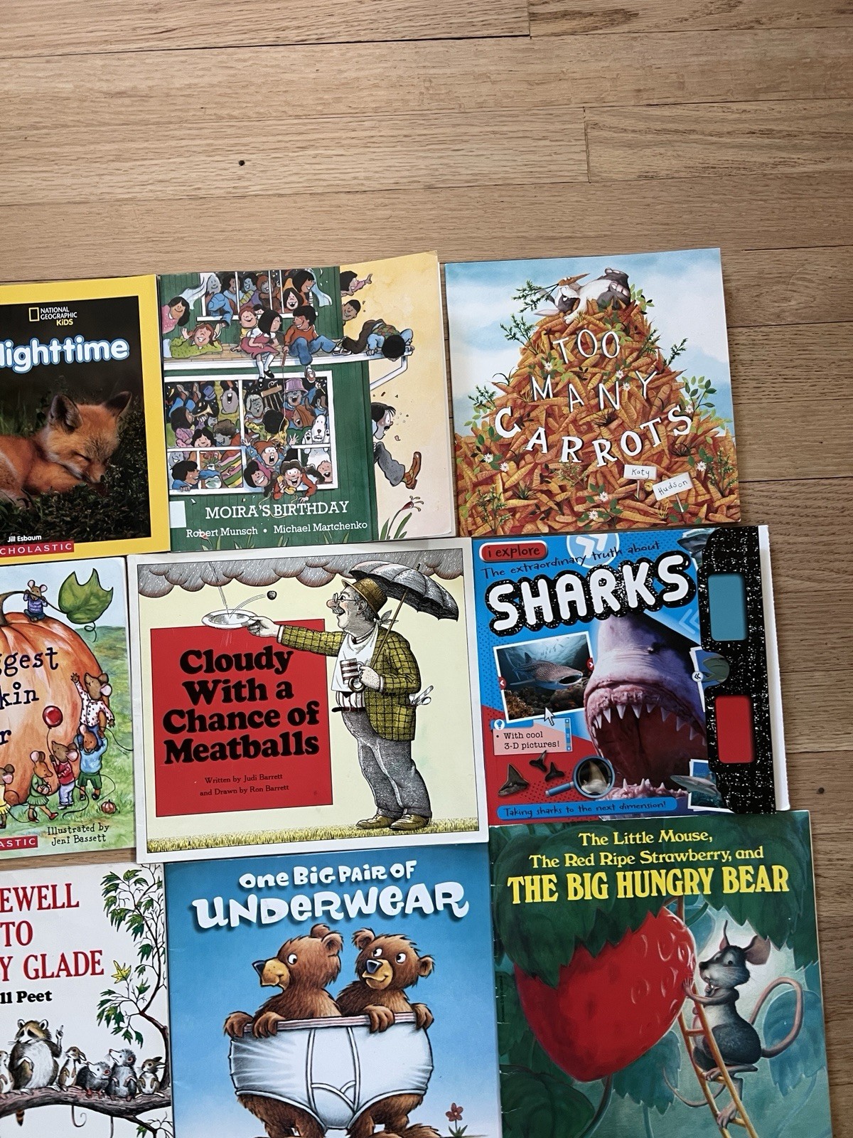 Lot of 10 Paperback Scholastic and more Kids Books