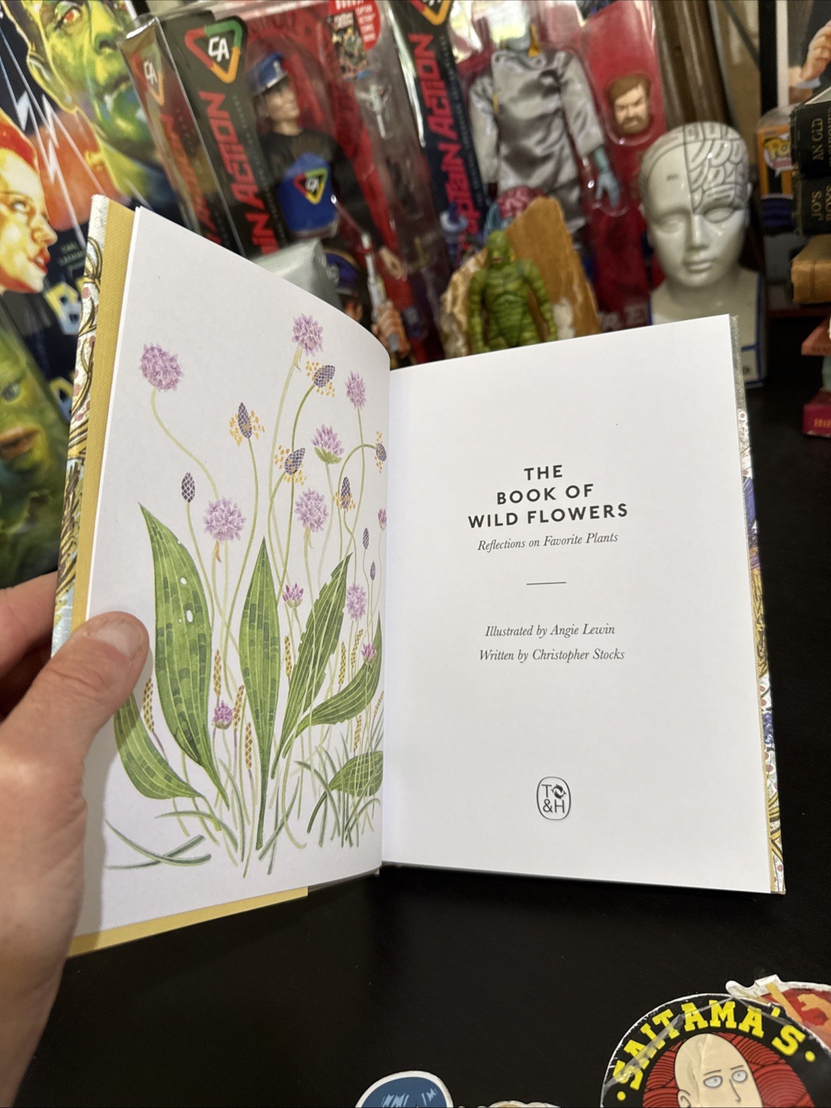 Book of Wild Flowers : Reflections on Favorite Plants by Lewin & Stocks HC DJ