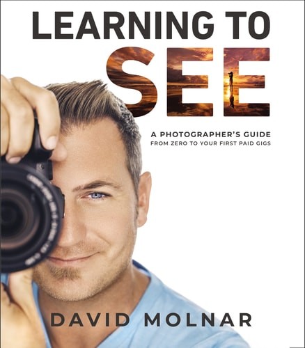 Learning to See: A Photographer’s Guide from Zero to Your First Paid Gigs, Molna