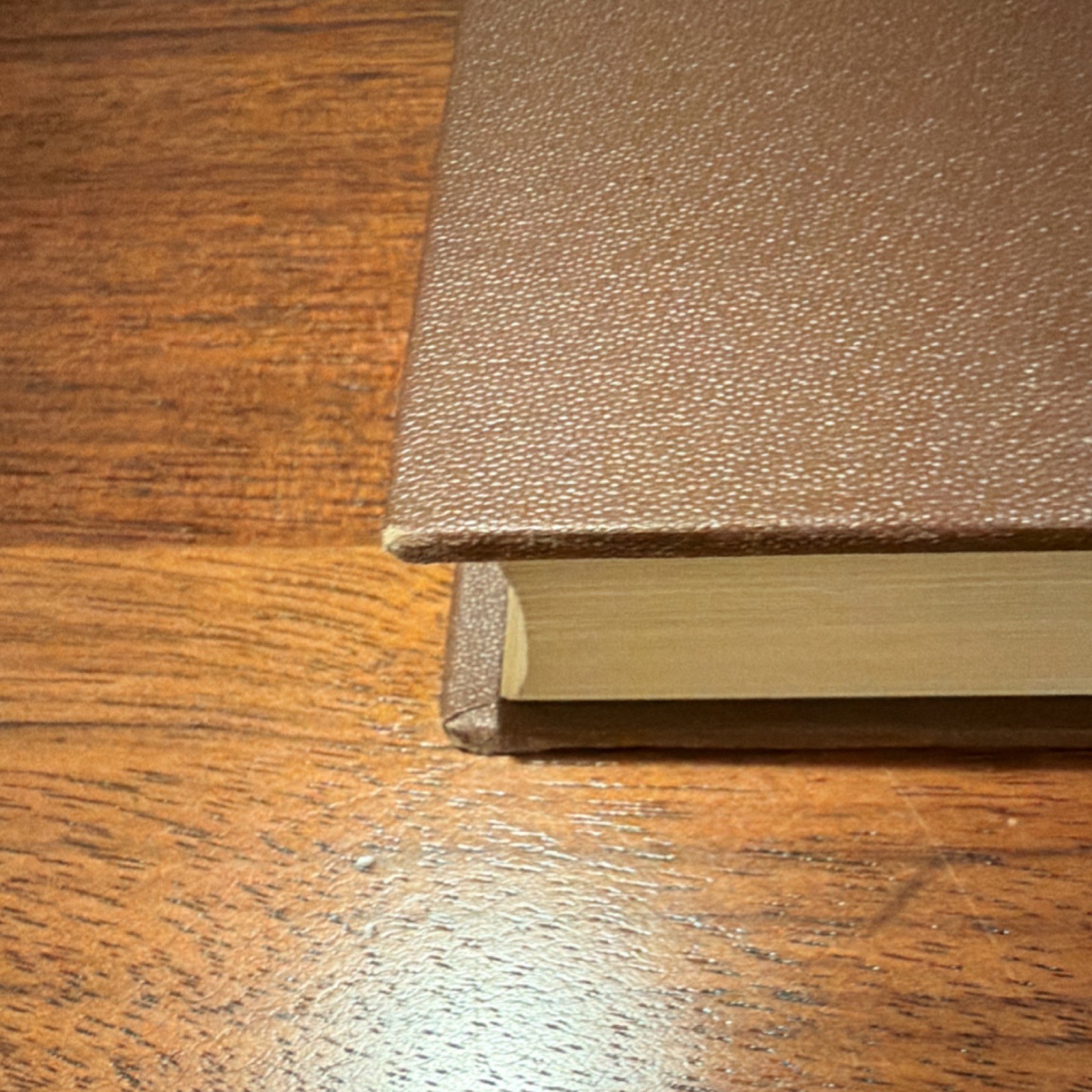 John Wiley & Sons Range Sheep and Wool Hultz Hill Hardcover Agriculture 1931