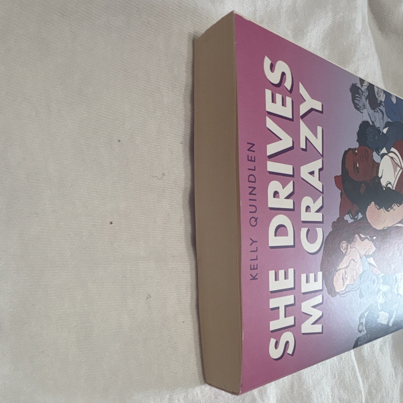 Kelly Quindlen She Drives Me Crazy Trade Paperback 2022 Square Fish 1st Go Fish
