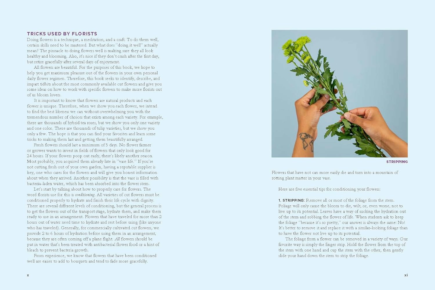 The Encyclopedia of Cut Flowers: What Flowers to Buy, When to Buy Them, and How