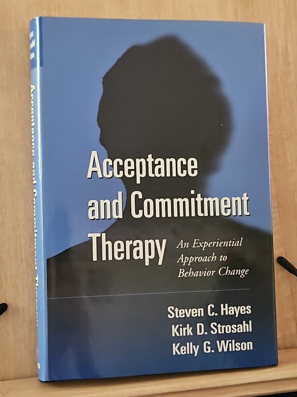 Acceptance and Commitment Therapy by Hayes Strosahl & Wilson 1999 First Edition