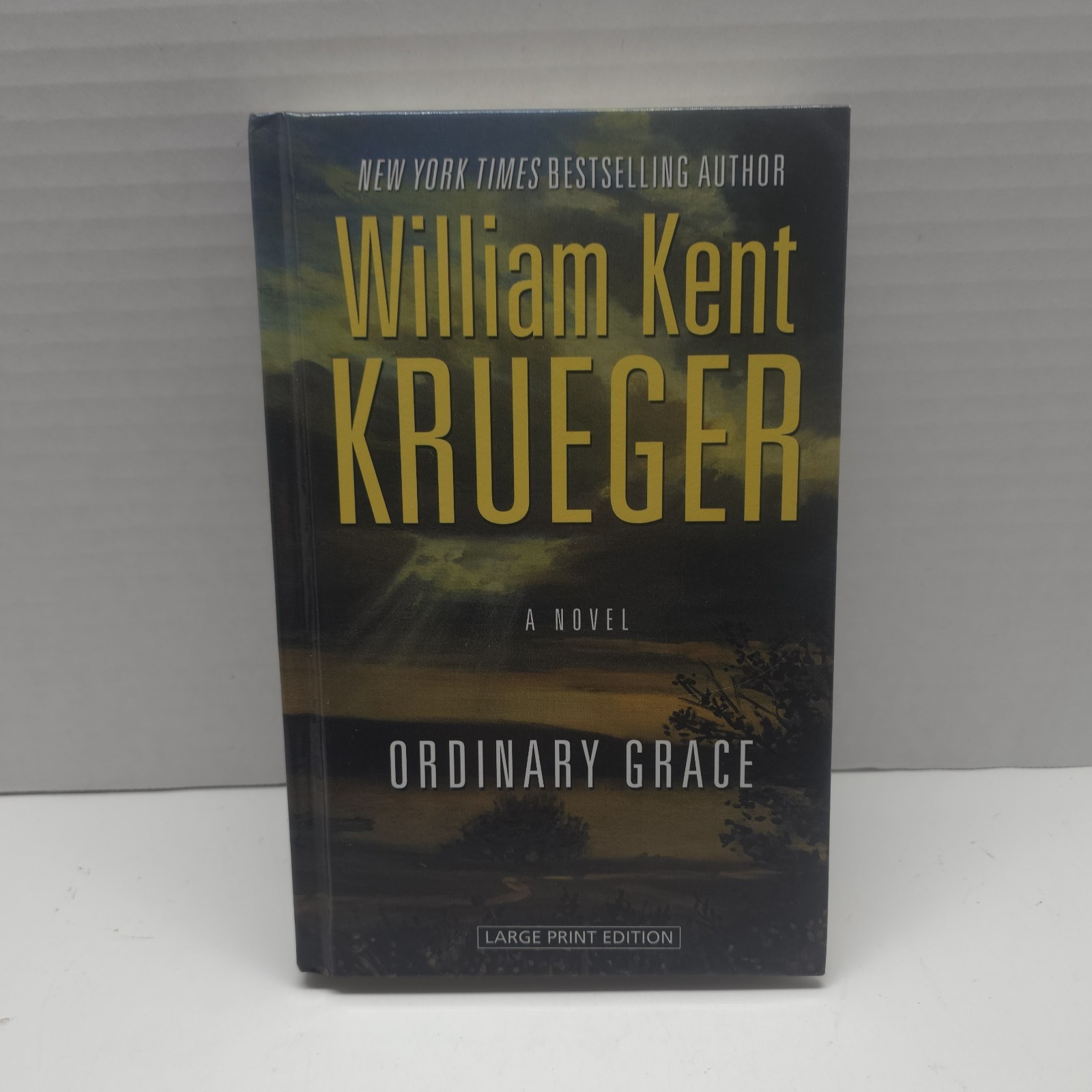 Ordinary Grace by William Kent Krueger (2013, Hardcover) Large Print Edition