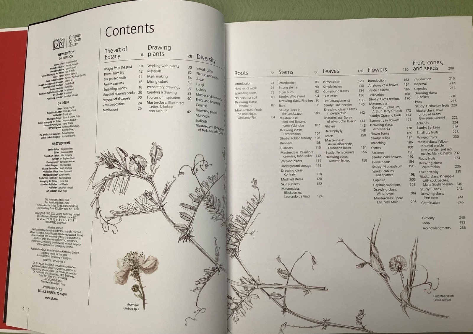 Botany for the Artist (Practical Art) by Simblet