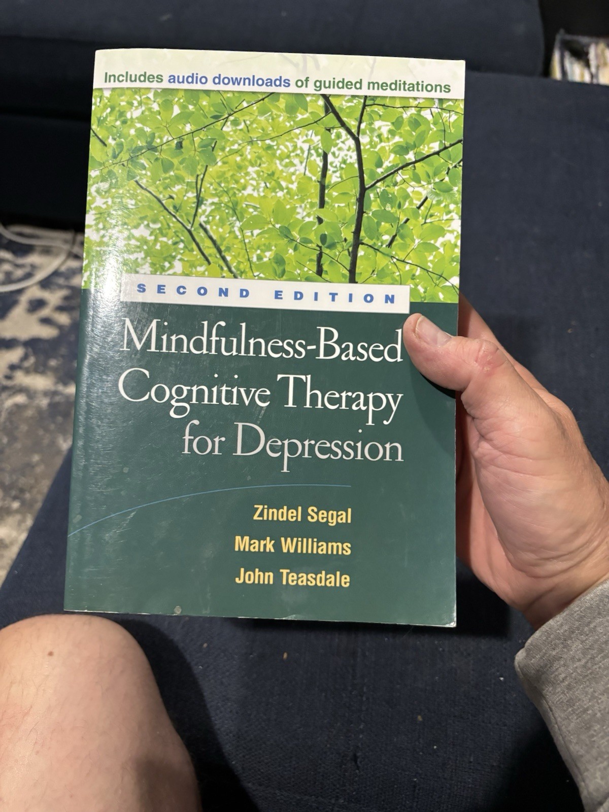 Mindfulness-Based Cognitive Therapy for Depression, Paperback by Segal, Zinde…