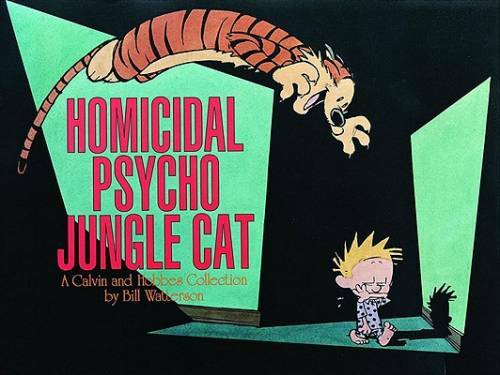 Homicidal Psycho Jungle Cat: A Calvin and Hobbes Collection – Paperback – GOOD