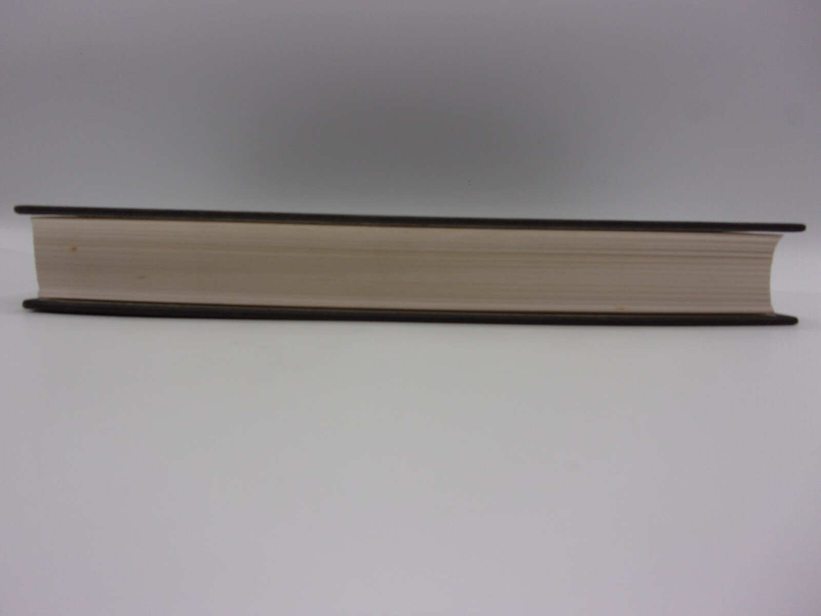 White Oleander by Janet Fitch (1999, Hardcover/DJ Protected)