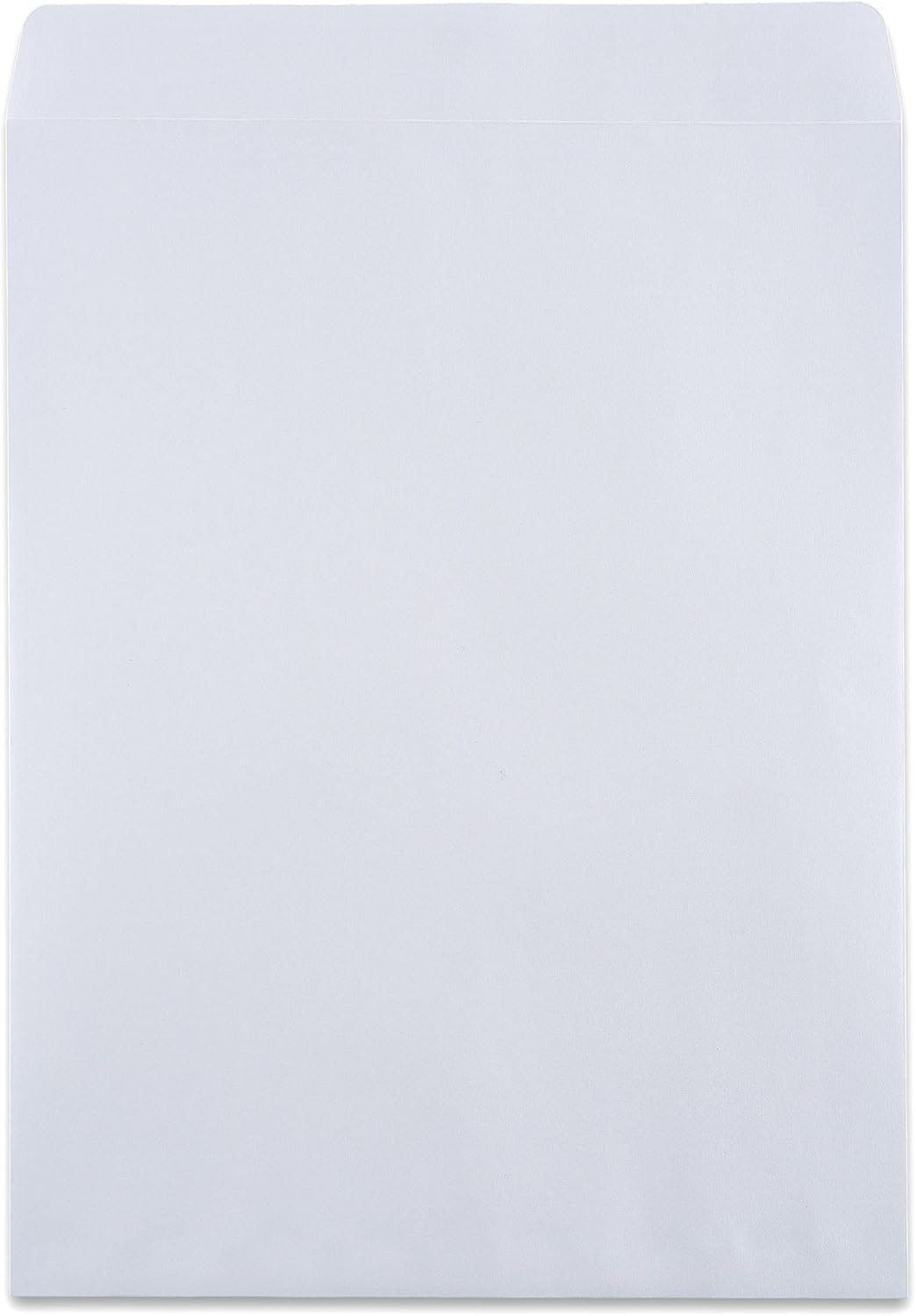 Bulk Pack of 100 9×12 Security Tinted Self-Seal Catalog Envelopes