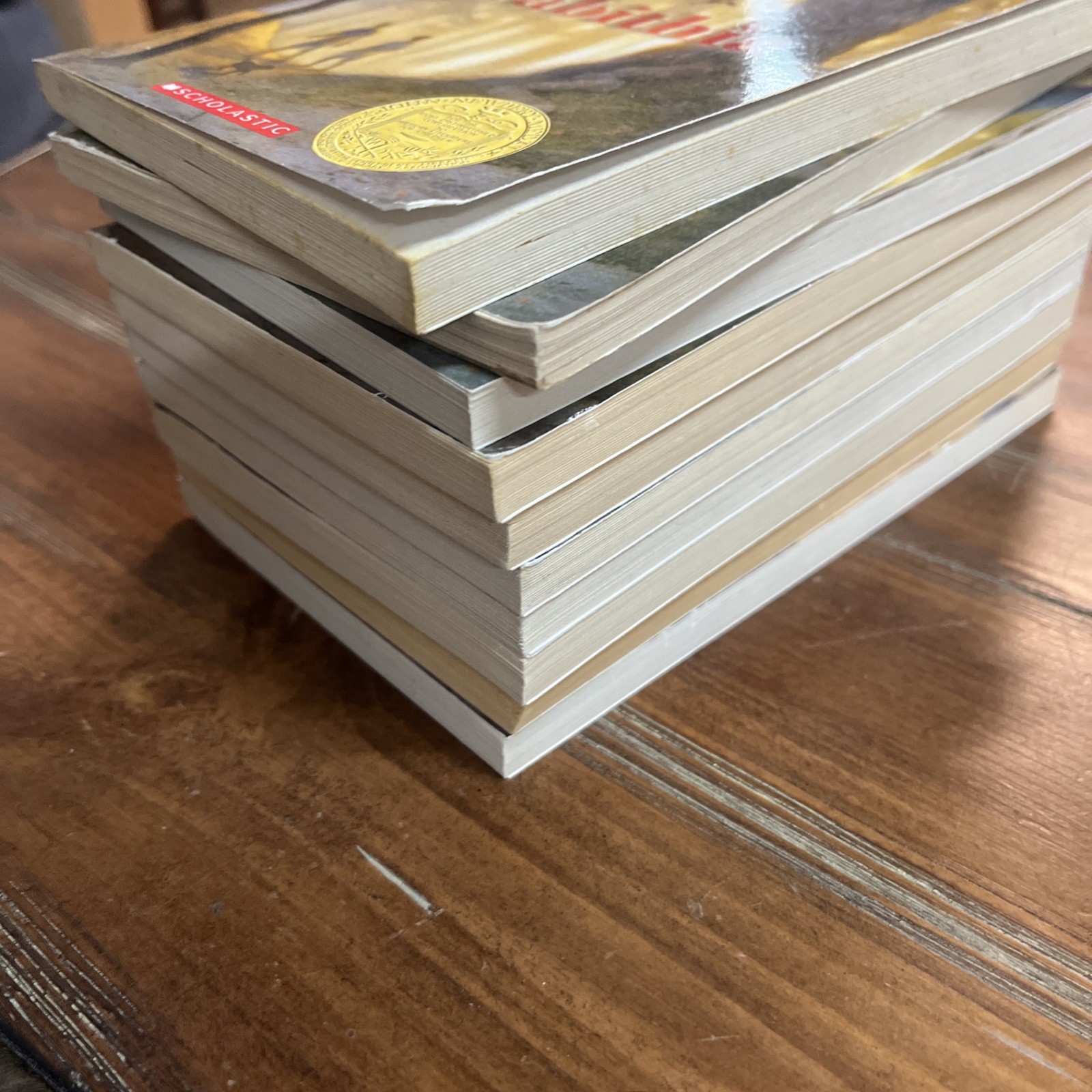 Lot Of 10 Bridge to Terabithia Books For Guided Reading Classroom Set
