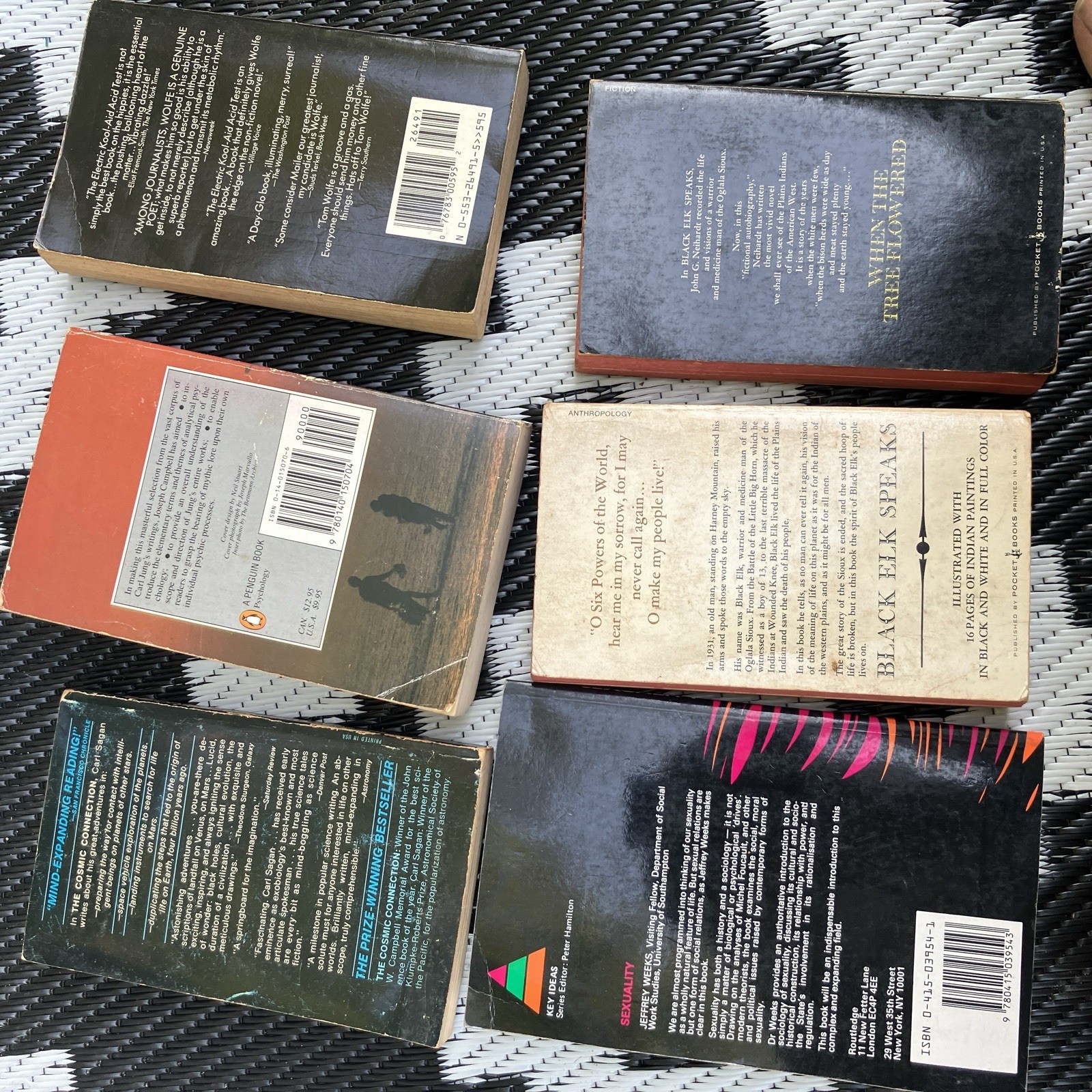 Vintage Sociology Philosophy Book Lot Carl Jung Tom Wolfe Carl Sagan Black Elk