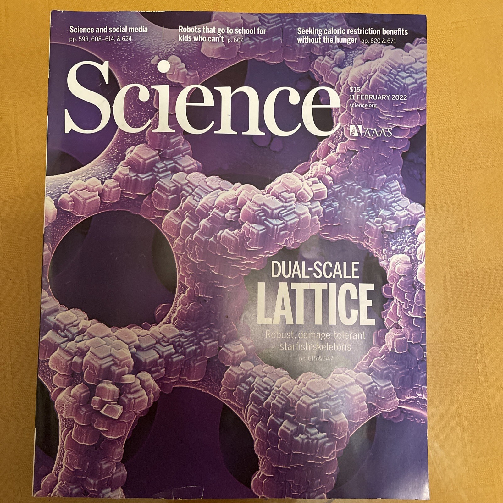 AAAS SCIENCE MAGAZINE 11 February￼ 2022 Vol. 375, No. 6581, Pages 585-692