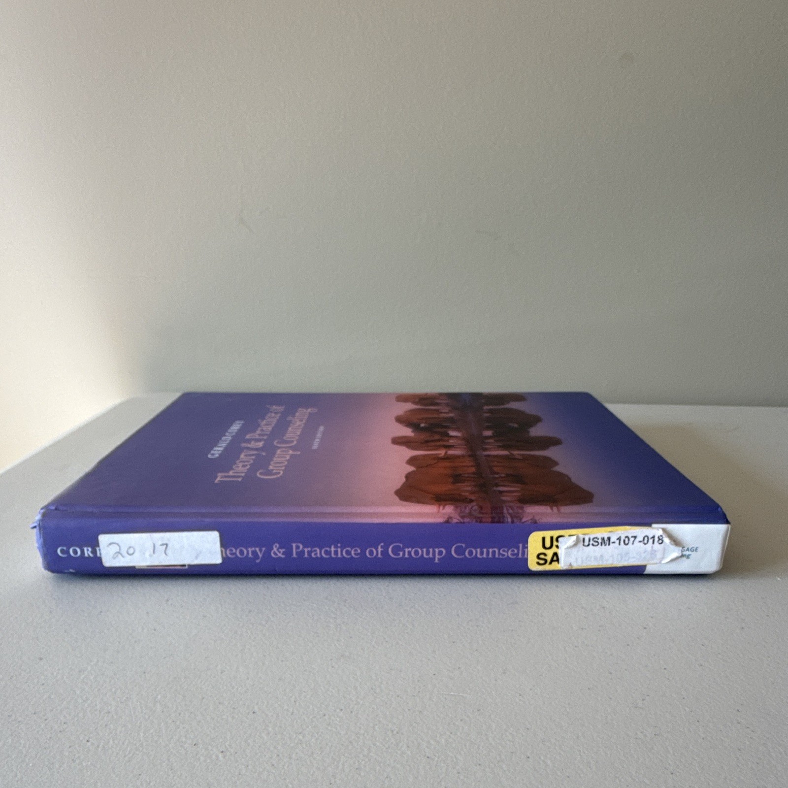 Theory & Practice of Group Counseling Hardcover Gerald Corey 9th Ed 2018