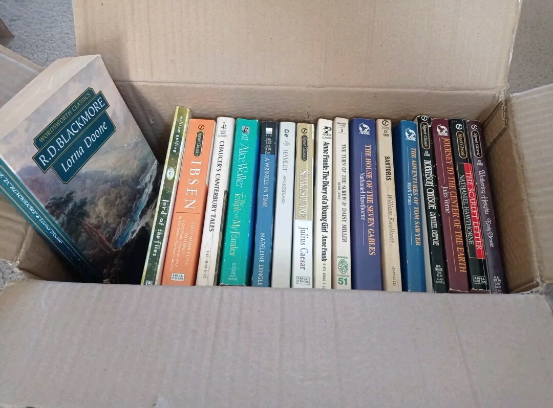 Lot of 30 Classic Books Steinbeck Hemingway Faulkner Mixed Paperback Literature
