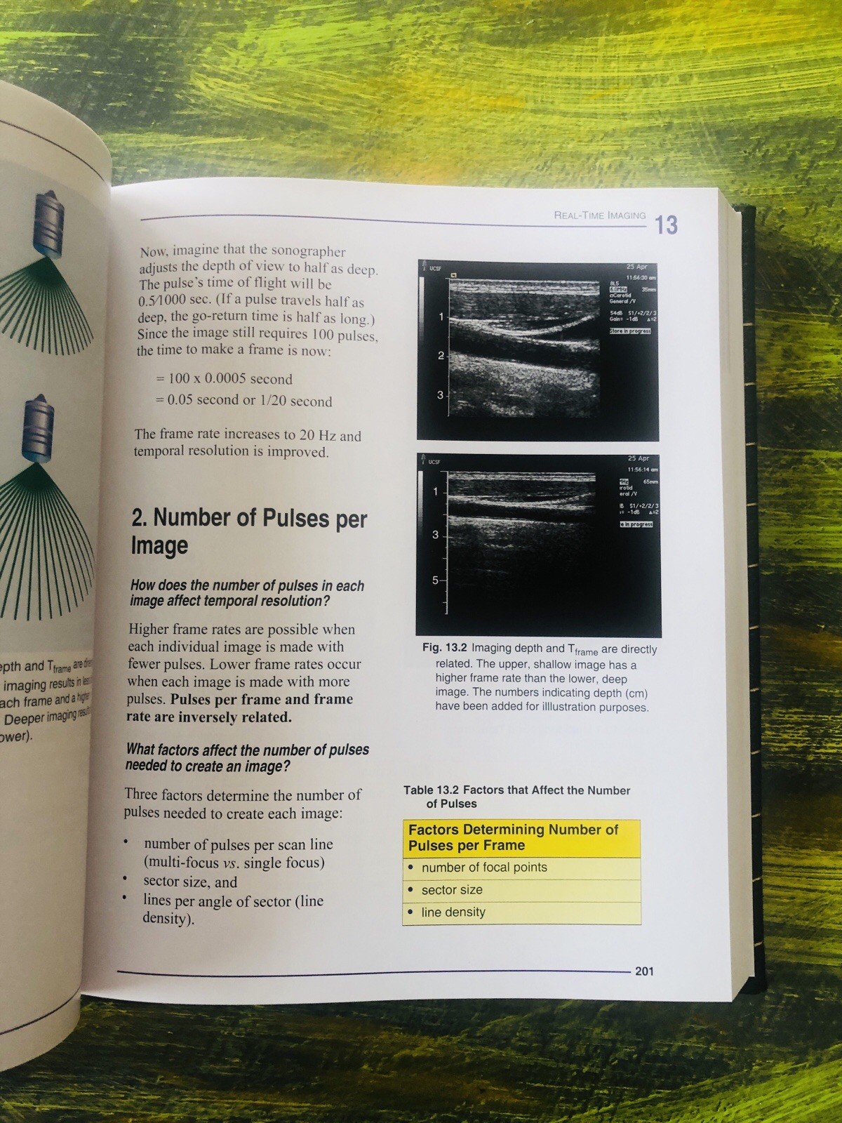 Understanding Ultrasound Physics. S.K.Edelman PhD, Fourth Edition, Brand New