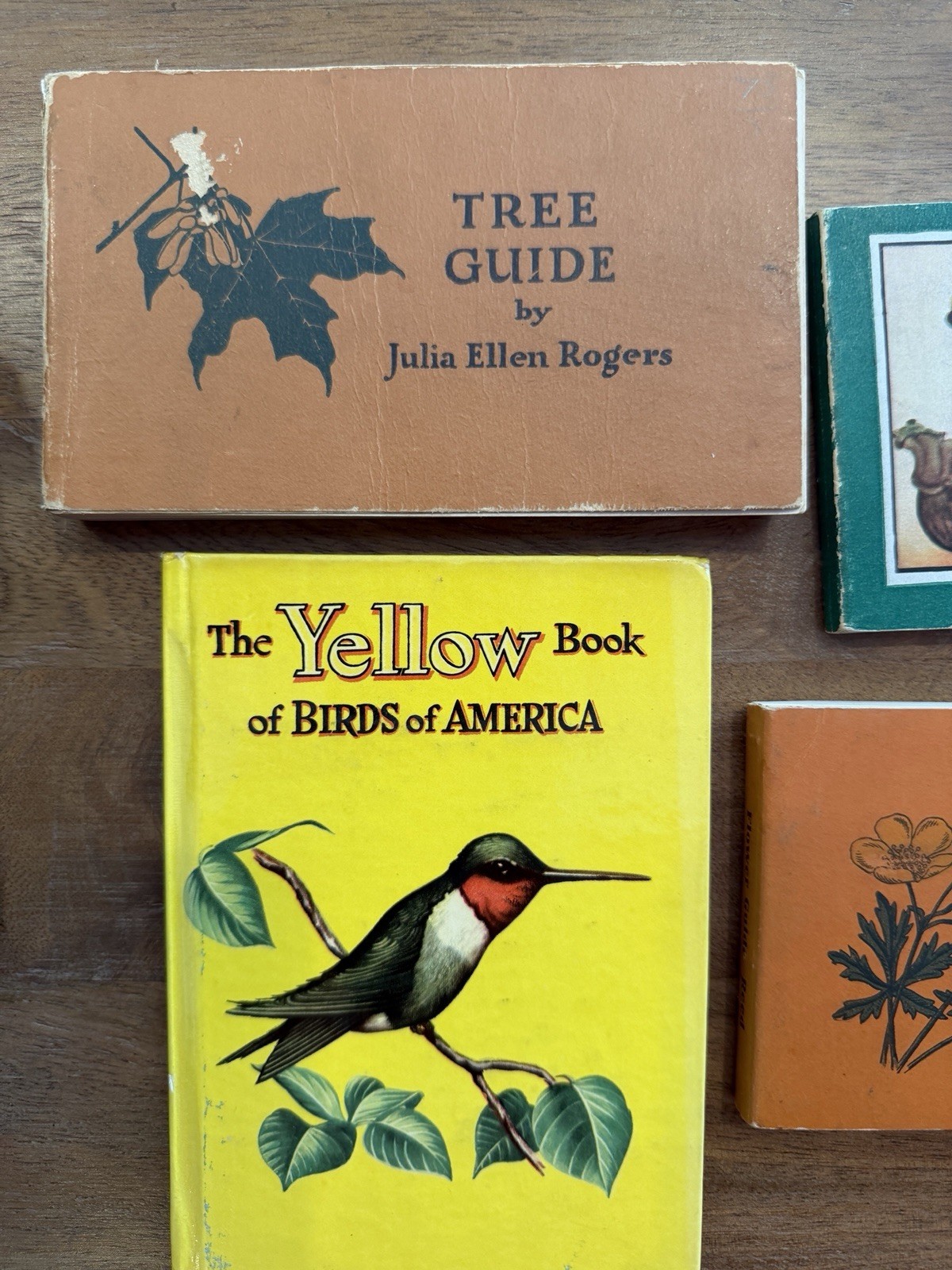 1920s 1930s Vintage Wildflower Bird And Tree Books. Collectible Nature Guides.