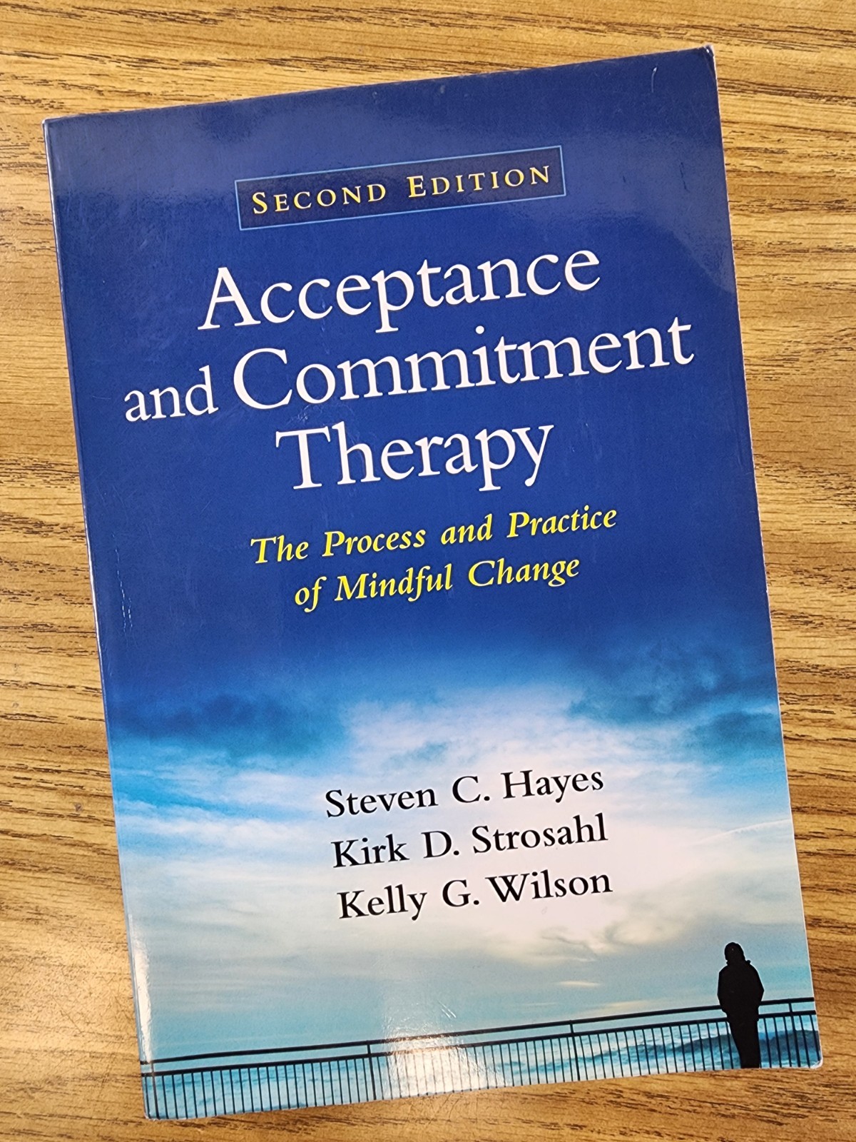 Acceptance and Commitment Therapy: The Process and Practice of Mindful Chang…