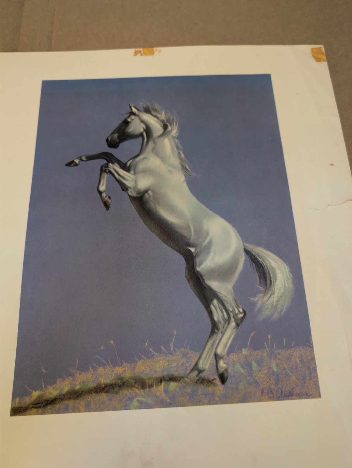 C.W. Anderson Grey Bay and Chestnut Horse Print Portfolio 1955 Harper 9 of 10