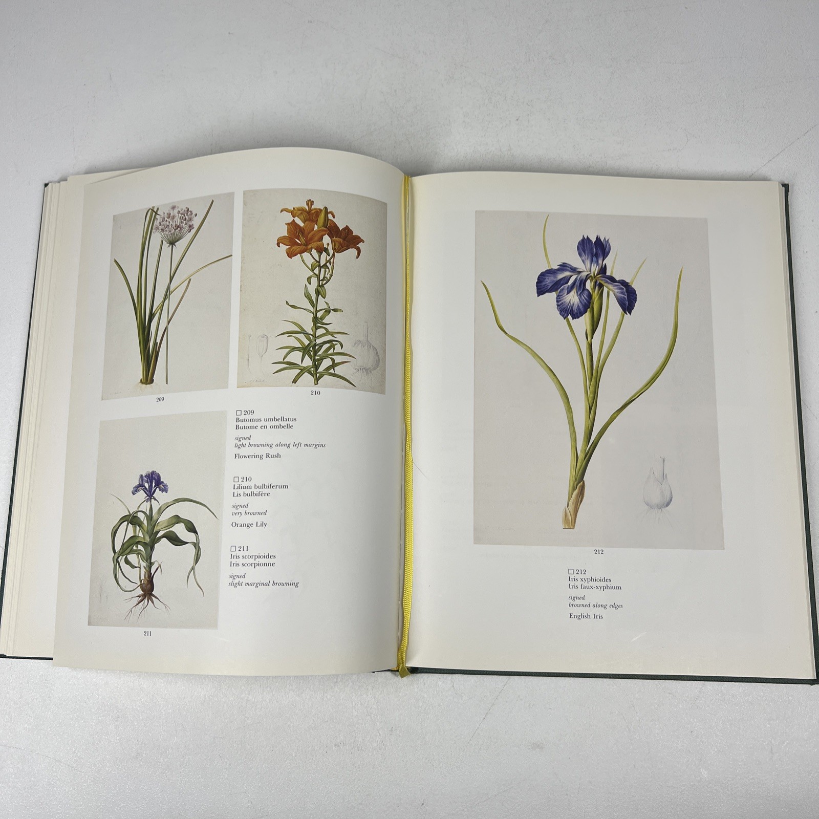 Sotheby’s Catalog Pierre Joseph Redoute Liliacees New York 1983 Hardcover