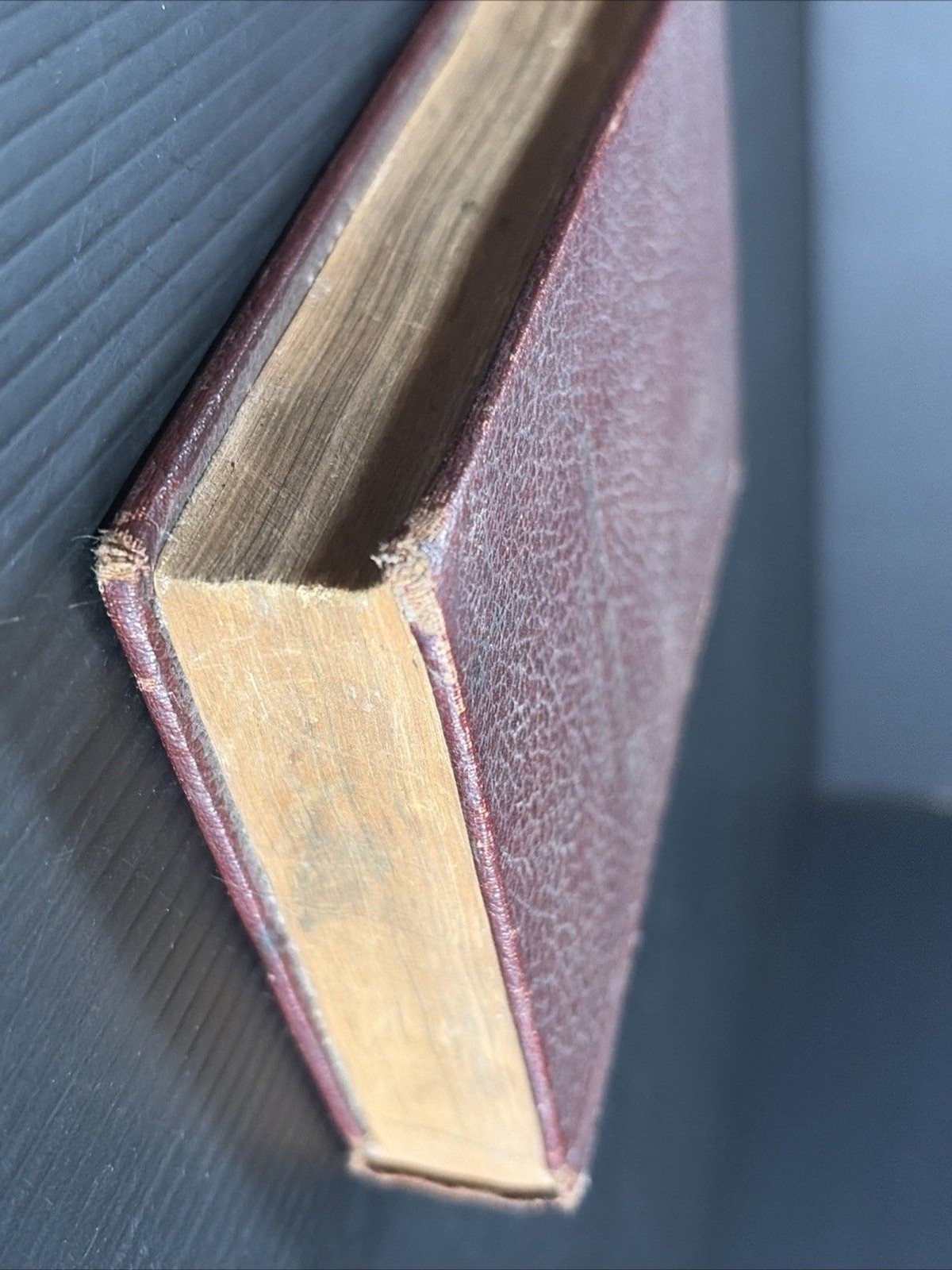 Antique Concordia Lutheran Church Book Of Concord HC 5.5×4” Oxblood