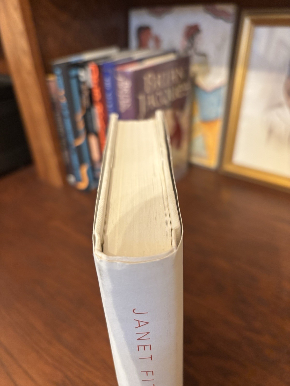 Paint It Black Janet Fitch 1st HC Ptg. Little, Brown 2006 Fine-Unread