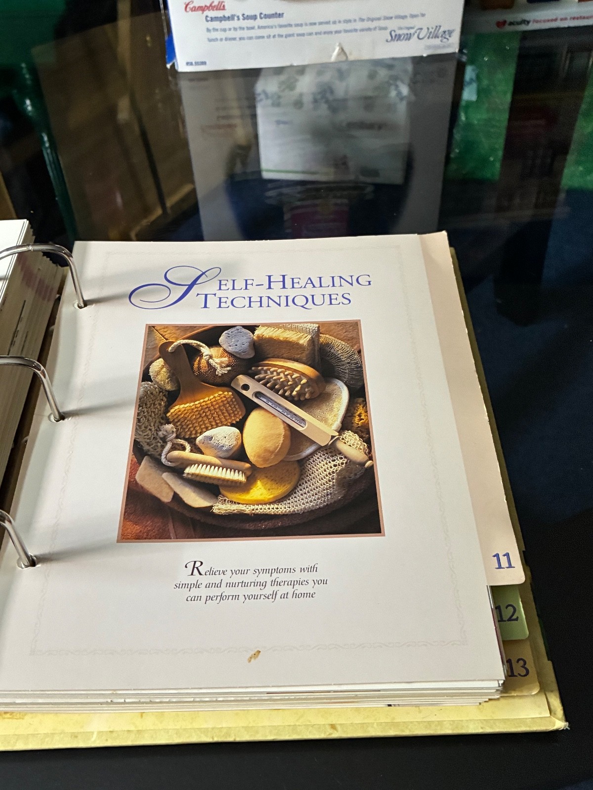 THE COMPLETE GUIDE TO NATURAL HEALING BINDER