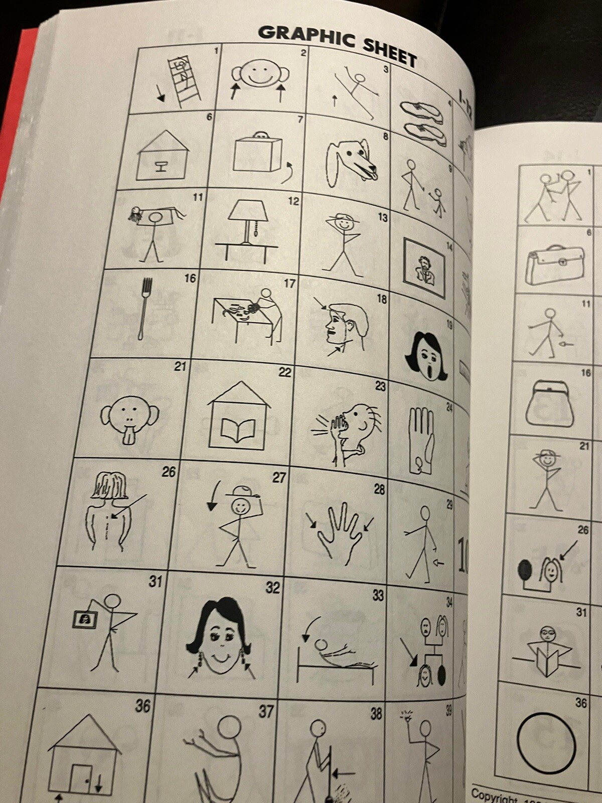 The Graphics Book for All Languages and Students of All Ages: With 60 Multiple-C