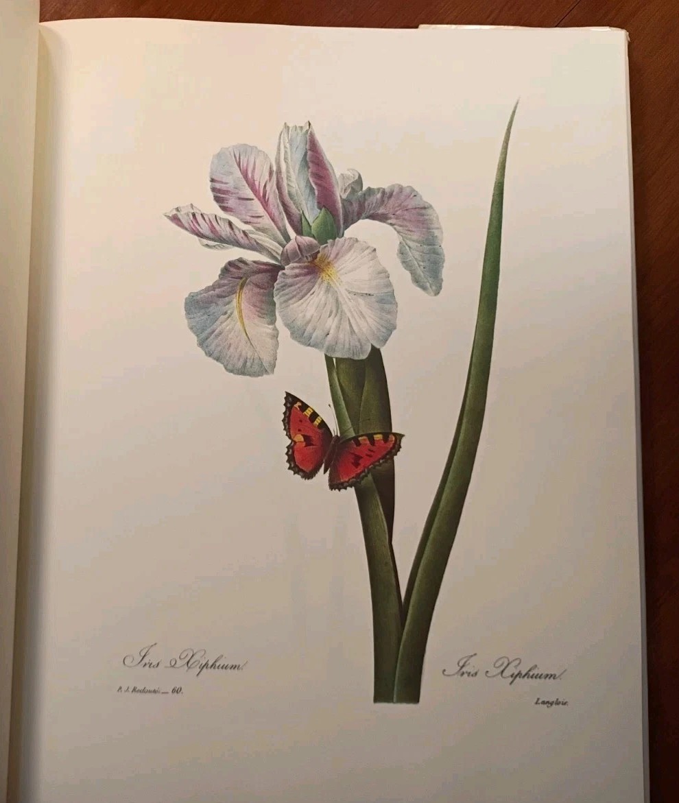 The Most Beautiful Flowers Pierre Redoute 1981 Folio 144 Engraved Color Plates