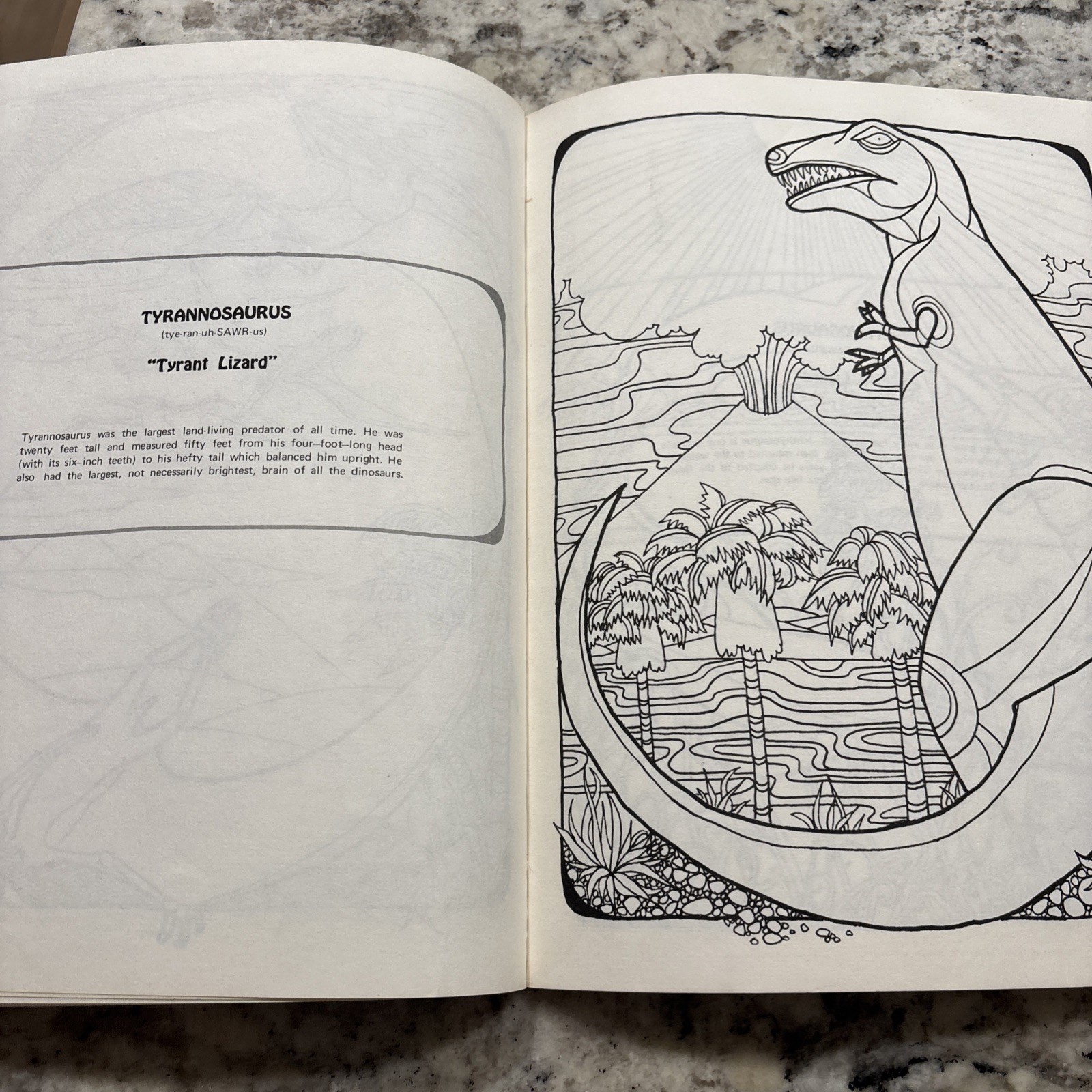 Dinosaur Coloring Book Troubador Press 1970 Retro Unused Oversized