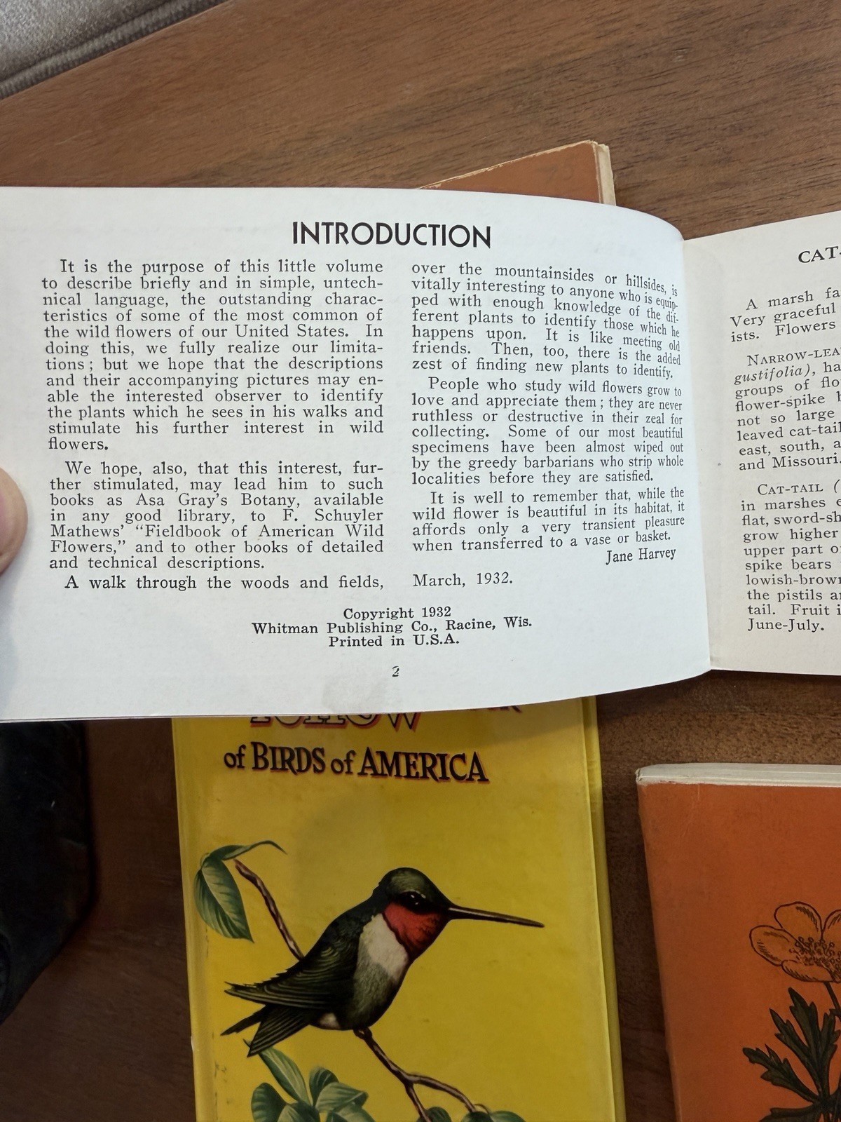 1920s 1930s Vintage Wildflower Bird And Tree Books. Collectible Nature Guides.