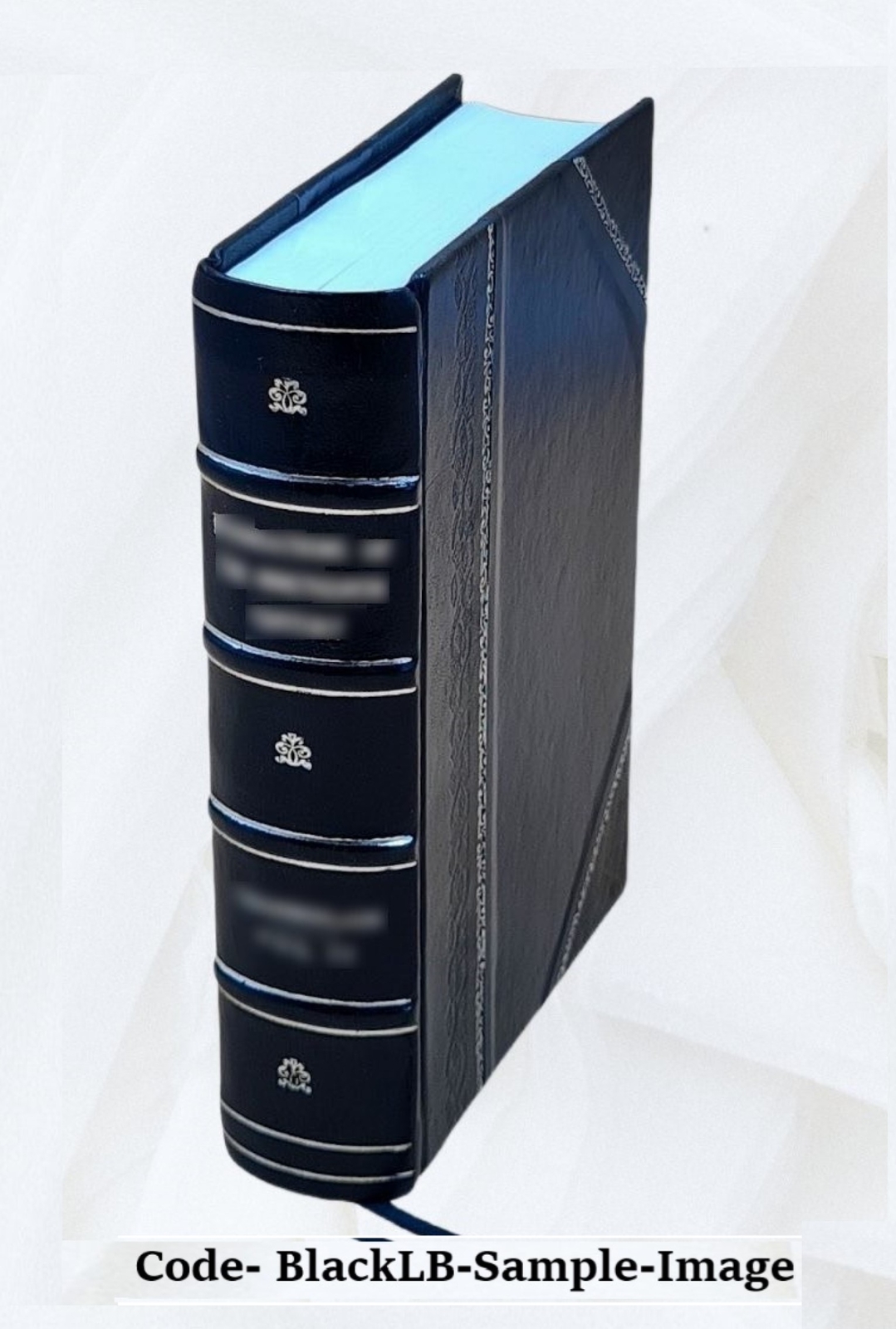 Storm Of Glory : The Story Of St. The?Re?Se Of Lisieux / By John [Leather Bound]