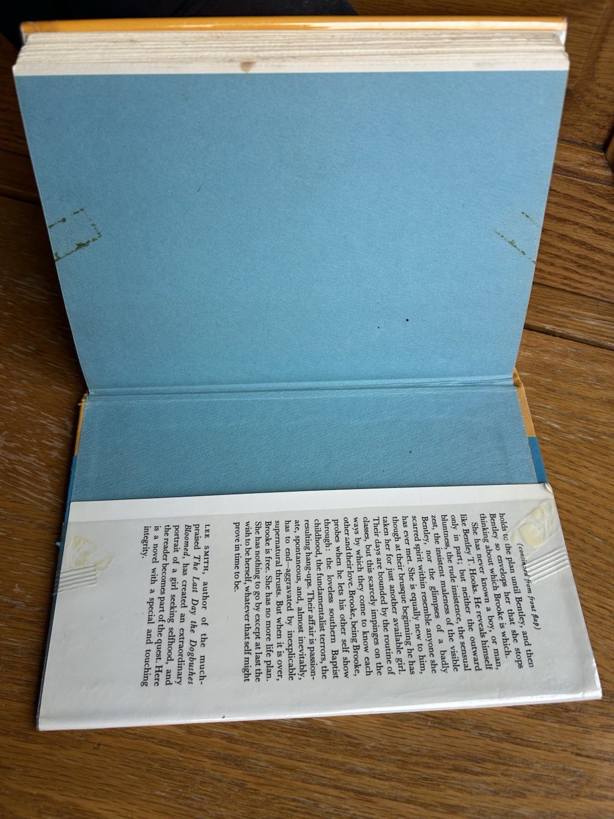 SOMETHING IN THE WIND Lee Smith 1st Edition 1971 Ex Library VGC Plastic Cover