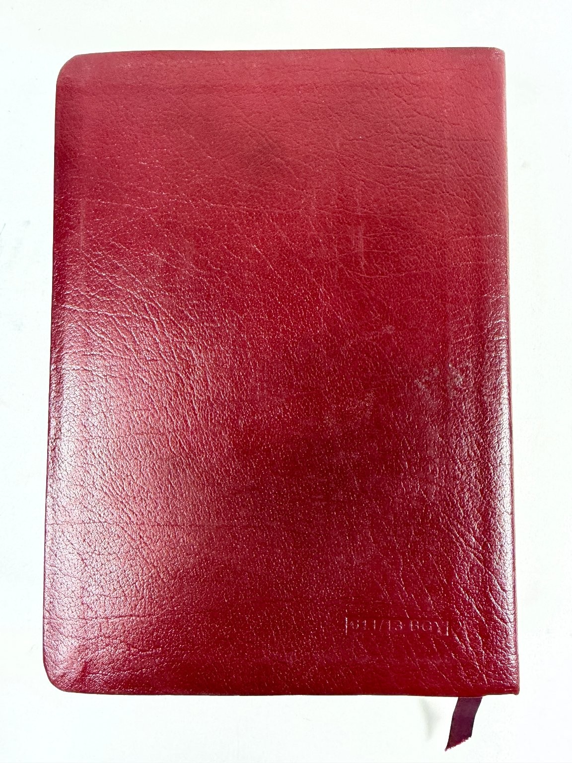 The New American Bible Saint Joseph Edition 1992 Large Type Illustrated