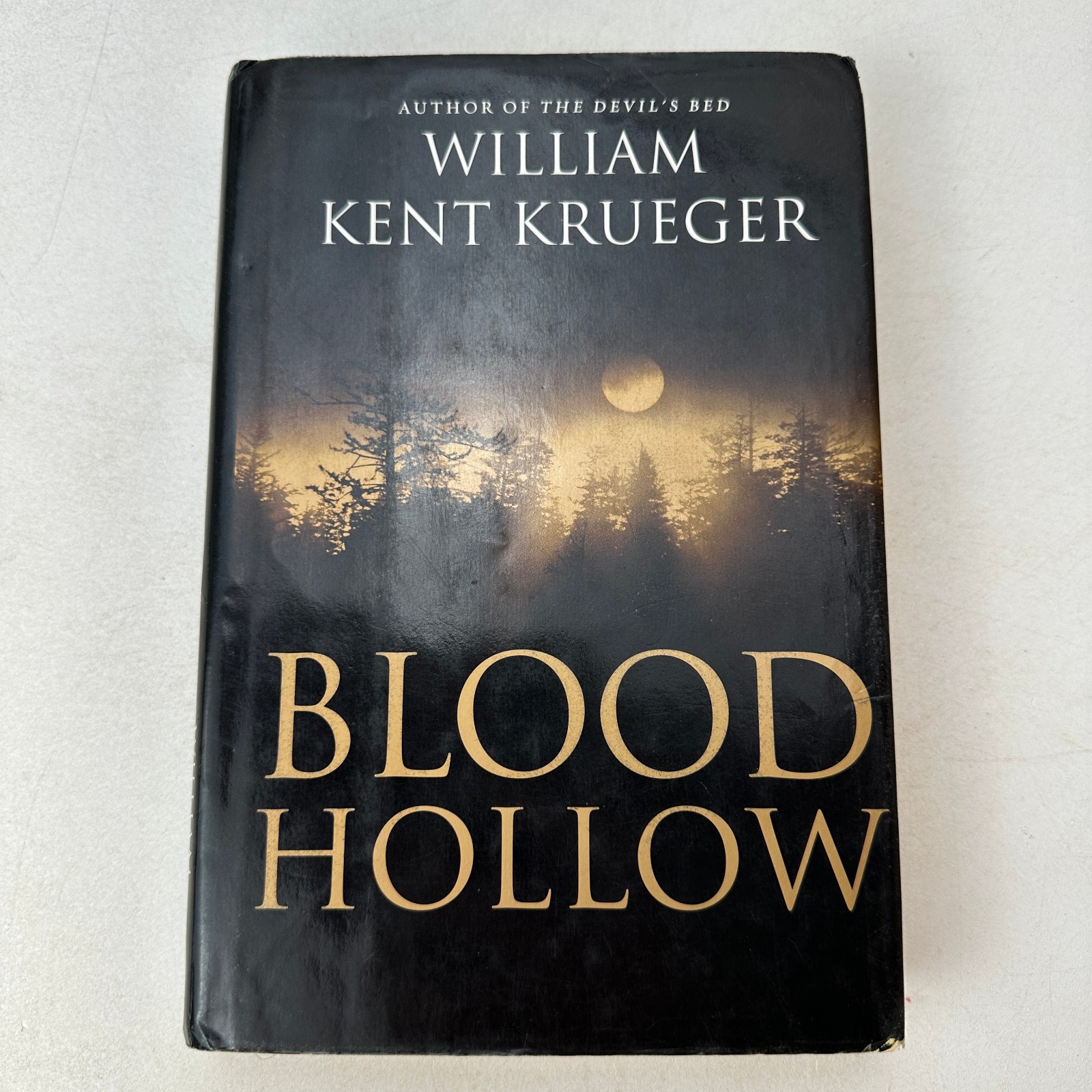 Blood Hollow by William Kent Krueger (2004, Hardcover) First Edition DJ
