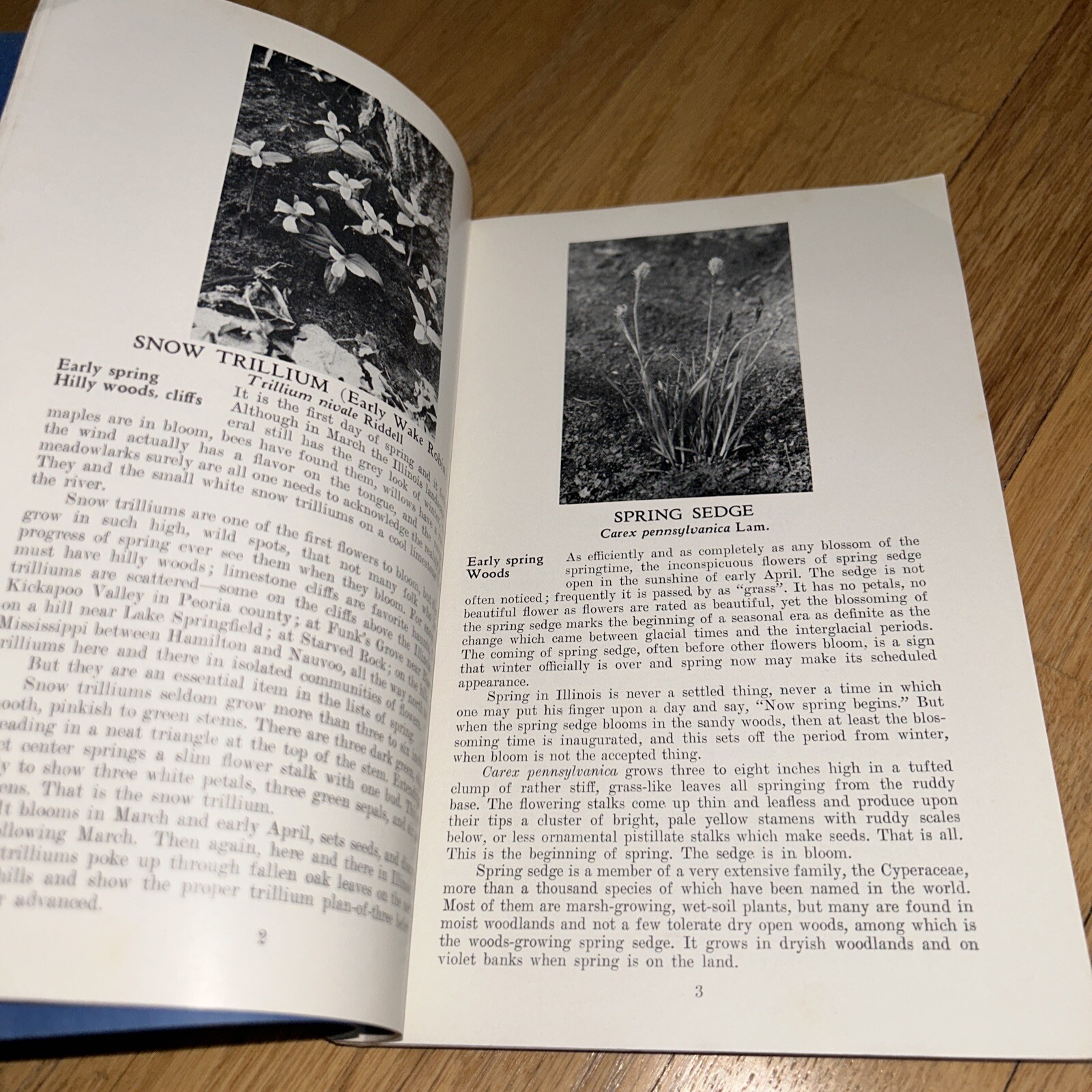 1960 ILLINOIS WILD FLOWERS by John Voss. 256 pages of Photos & Information